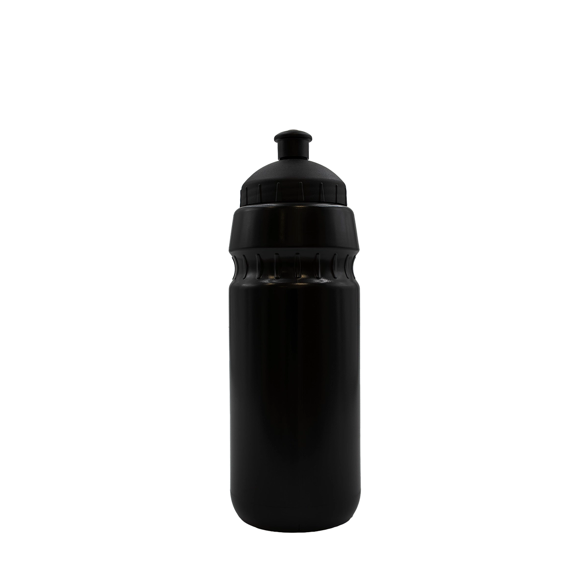 Sport-Trinkflasche Project Flaschenfarbe: Schwarz Druck: 1-farbig